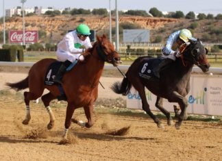Óscar Anaya y Vaclav Janacek vuelven a triunfar en el hipódromo óscar