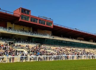 La pista de hierba se estrena este domingo en el hipódromo pista de hierba