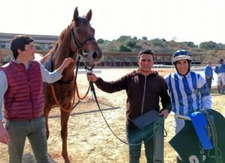 Última jornada de carreras de caballos en el hipódromo última jornada de