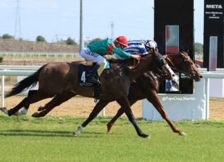 Glorytof gana el Memoria Javier Piñar Hafner glorytof