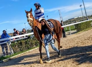 Último mes de carreras de caballos en el hipódromo último mes