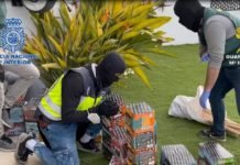 La banda de aluniceros más activa ha sido desactivada banda de aluniceros