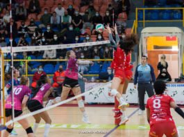 Mucho líder para Cajasol Voley en Tenerife mucho líder