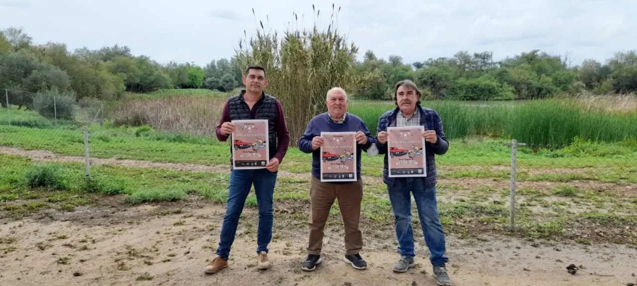exposición de vehículos