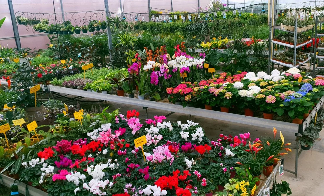 Vivero Garden Verdeflora