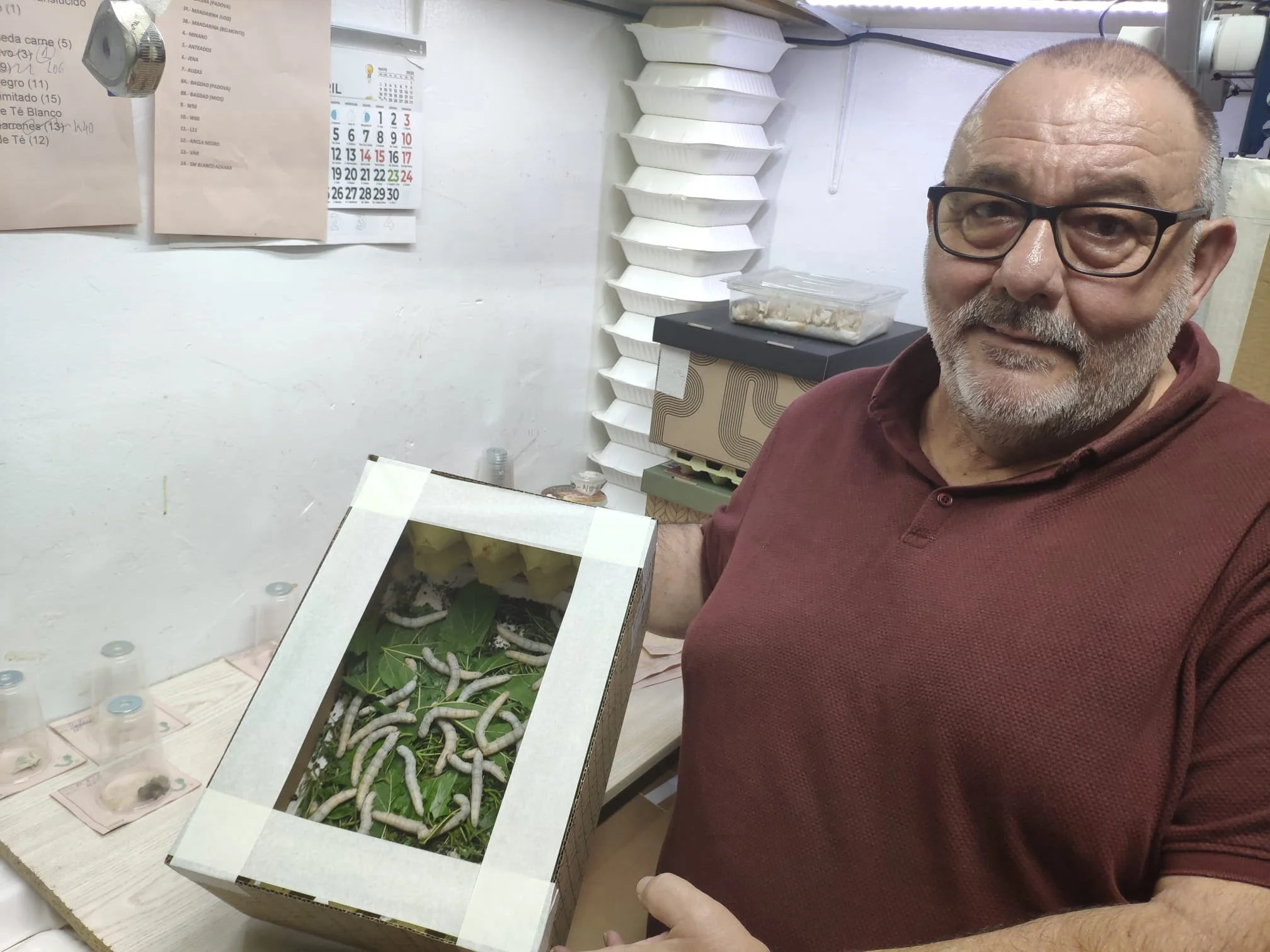cría de gusanos
