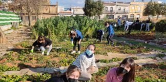 Nuevo ciclo de formación profesional básica en el Colegio María Zambrano nuevo ciclo de formación profesional básica