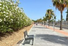 La pavimentación de la Ronda Adolfo Suárez llega a su fin pavimentación