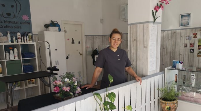 Cristina Oliva traslada su peluquería canina a la barriada de Cantely cristina oliva