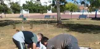 Repaso audiovisual de los logros medioambientales