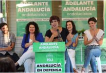 Susana Carrera pasa a ser concejala no adscrita del Ayuntamiento susana carrera