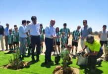 La nueva ciudad deportiva del Betis: de proyecto a una realidad