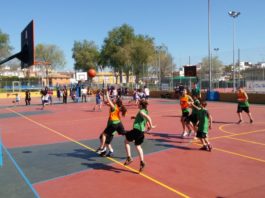 Nuevas inscripciones en las escuelas deportivas municipales nuevas inscripciones