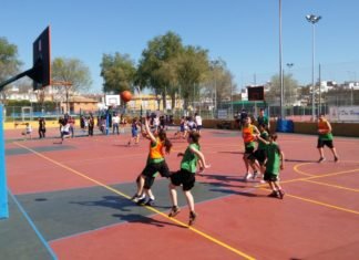 Nuevas inscripciones en las escuelas deportivas municipales nuevas inscripciones