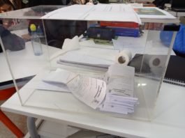 celebración conjunta