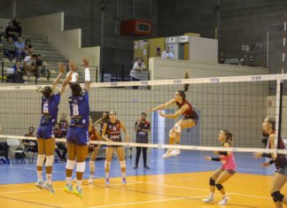 Cajasol Voley Dos Hermanas recibe al Kiele en lo alto de la tabla cajasol voley dos hermanas