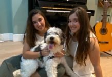 Muchos rostros conocidos unidos contra el abandono animal muchos rostros conocidos