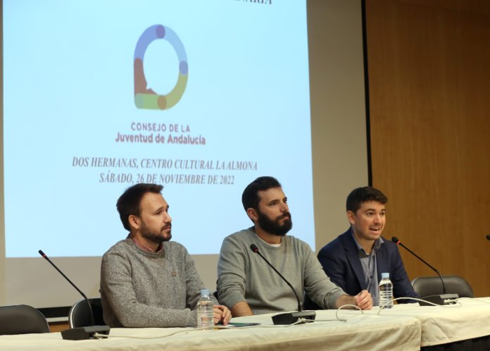 el consejo de la juventud de andalucía