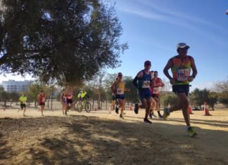 Unos 700 atletas corren la XXIII Media Maratón Tierra y Olivo unos 700 atletas
