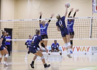 Un importante punto en Las Palmas para el Cajasol Voley importante punto