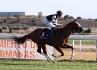 Tiempo espléndido y mucho público en la primera jornada hípica tiempo espléndido