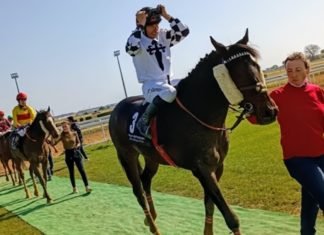 35 caballos se dan cita en la segunda jornada hípica