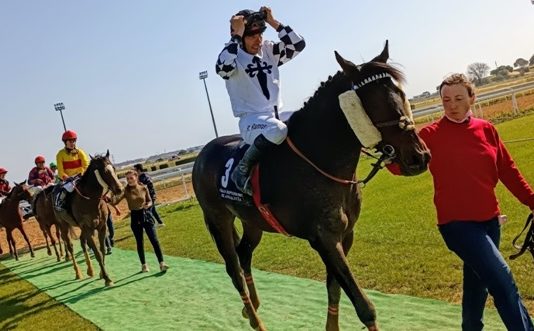 35 caballos se dan cita en la segunda jornada hípica