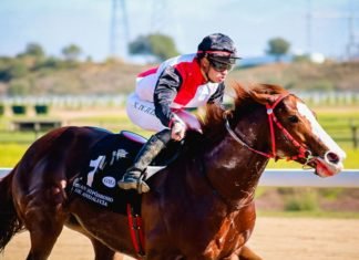 Tercera jornada hípica dedicada a las entidades solidarias tercera jornada hípica