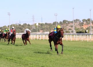 Sommersun hace historia al adjudicarse la Santander CUP sommersun