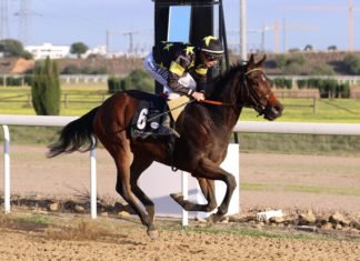 Cuatro victorias del preparador argentino Óscar Anaya cuatro victorias