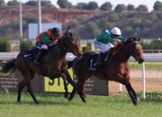 Óscar Anaya suma y sigue en el hipódromo Óscar Anaya