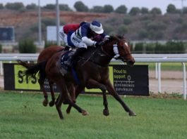 El líder de la estadística siga sumando triunfos en el hipódromo líder de la estadística