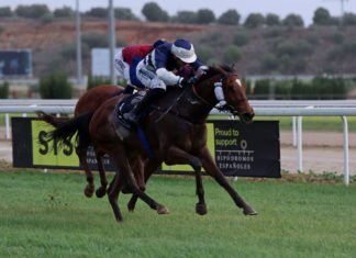 El líder de la estadística siga sumando triunfos en el hipódromo líder de la estadística