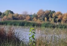 Dato histórico de visitas a la Laguna de Fuente del Rey en 2022