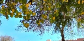 Las patrullas contra los residuos toman los recreos patrullas