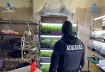 Operación Búcaro-Palace contra el tráfico de marihuana operación búcaro-palace