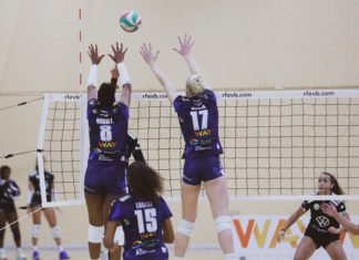 Quinta victoria consecutiva conseguida por el Cajasol Voley quinta victoria consecutiva