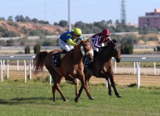 Hipodamo de Mileto sigue ganando en el hipódromo nazareno hipodamo de mileto