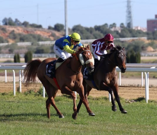 Hipodamo de Mileto sigue ganando en el hipódromo nazareno hipodamo de mileto