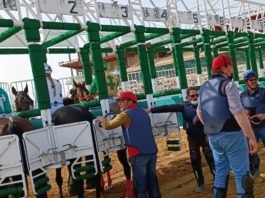 Primera jornada de carreras de caballos del año 2023 primera jornada de carreras