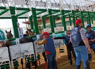 Primera jornada de carreras de caballos del año 2023 primera jornada de carreras