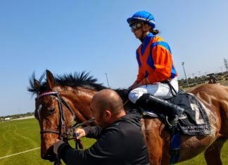 Segunda jornada del año en el hipódromo nazareno segunda jornada