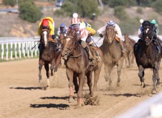 Gran presencia de público en las carreras del hipódromo gran presencia de público