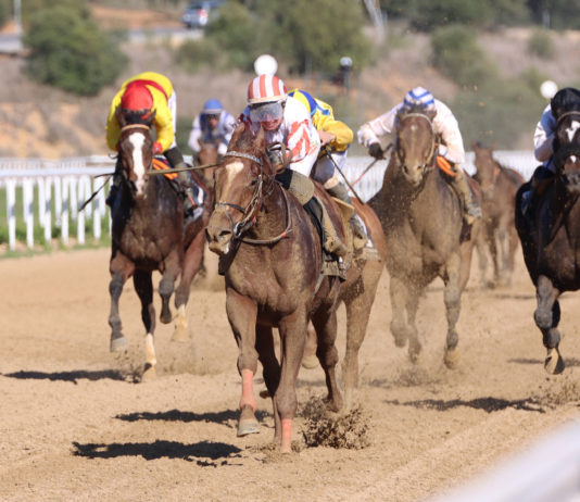 Gran presencia de público en las carreras del hipódromo gran presencia de público
