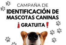 Campaña de identificación de mascotas de forma gratuita campaña de identificación