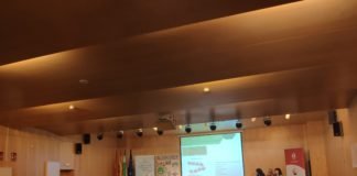 Nuevo proyecto Popi para reducir el absentismo escolar nuevo proyecto popi