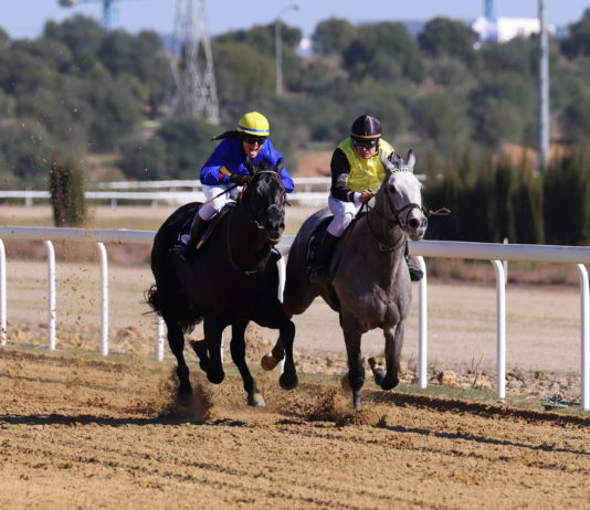 Nueva gemela de Anaya en un hipódromo con mucho público nueva gemela