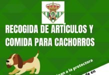 Recogida de artículos y comida para perros en la Peña Bética Nazarena recogida
