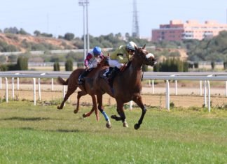 Dobletes ganadores de Raúl Ramos y Anaya en el hipódromo dobletes ganadores