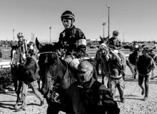 Última jornada hípica en el Gran Hipódromo de Andalucía última jornada hípica